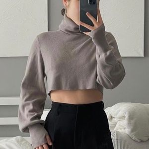 Aritzia Wilfred Rebecca Turtleneck